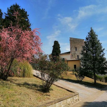 Casa Per Ferie Ulivo D'Assisi Villa Bagian luar foto