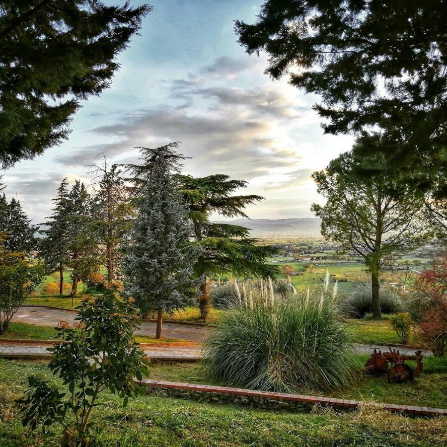 Casa Per Ferie Ulivo D'Assisi Villa Bagian luar foto