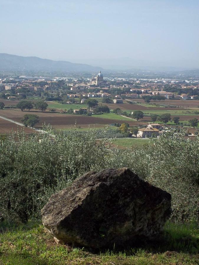 Casa Per Ferie Ulivo D'Assisi Villa Bagian luar foto