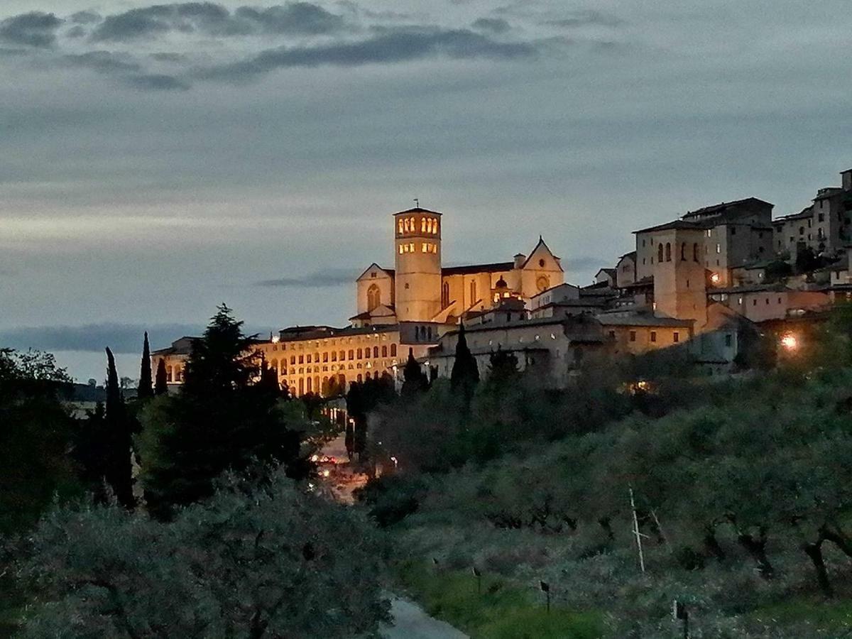 Casa Per Ferie Ulivo D'Assisi Villa Bagian luar foto