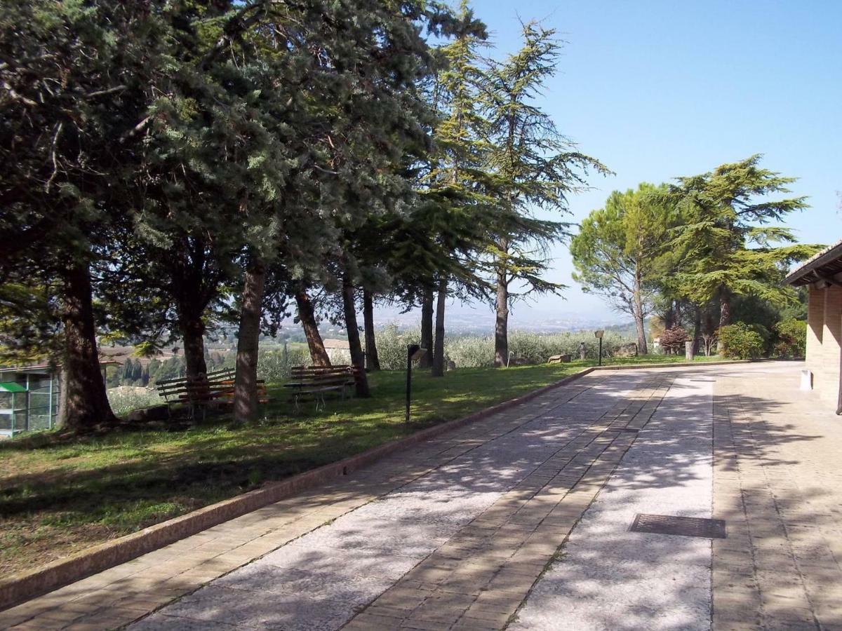 Casa Per Ferie Ulivo D'Assisi Villa Bagian luar foto