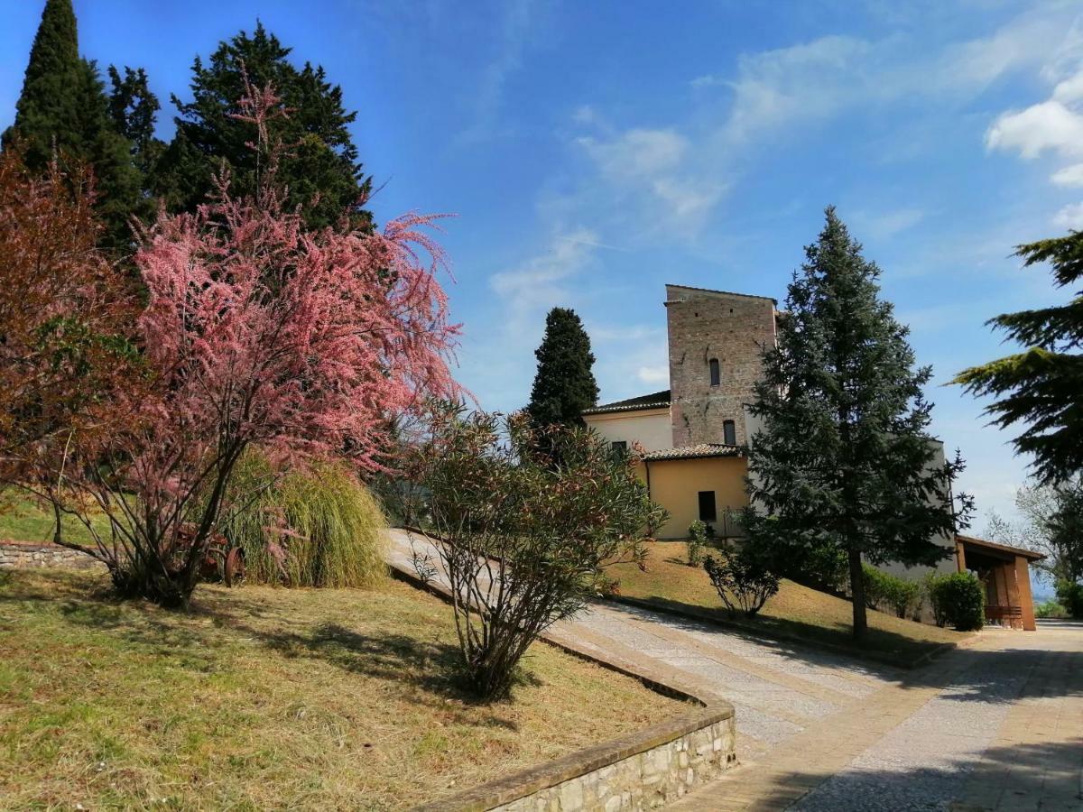 Casa Per Ferie Ulivo D'Assisi Villa Bagian luar foto